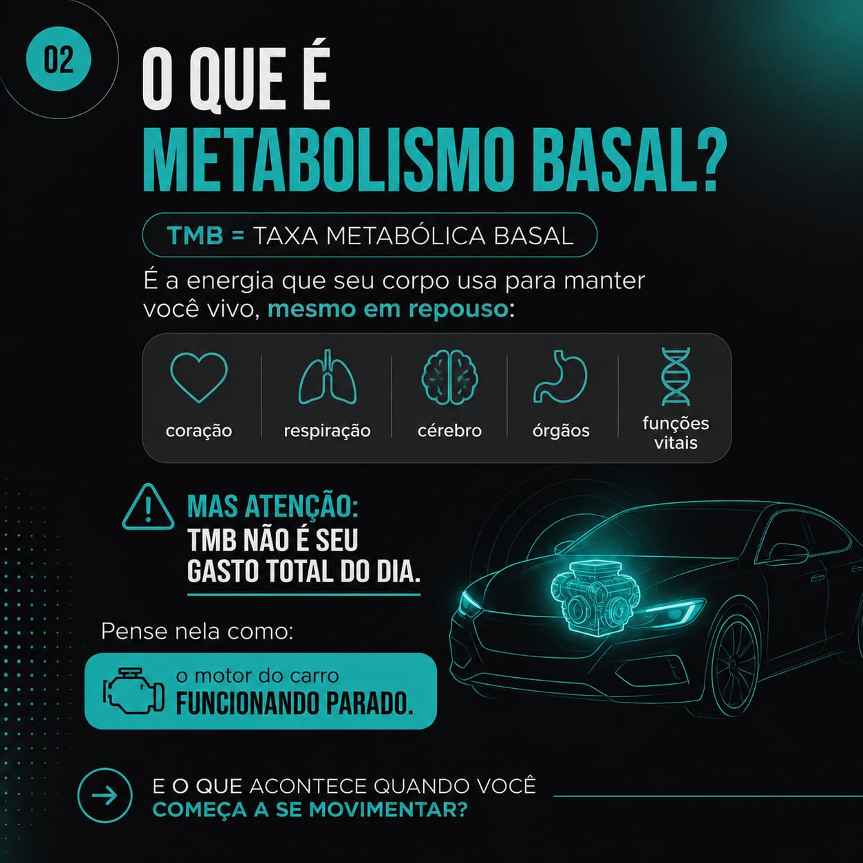 O que é metabolismo basal