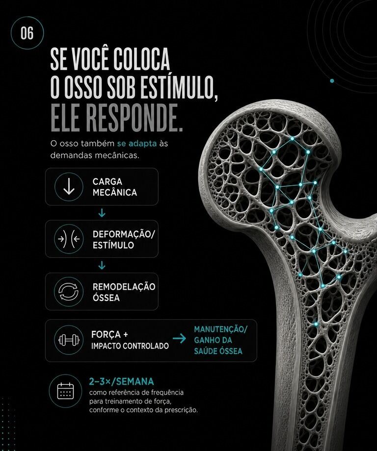 Se você coloca o osso sob estímulo, ele responde: carga mecânica e remodelação óssea